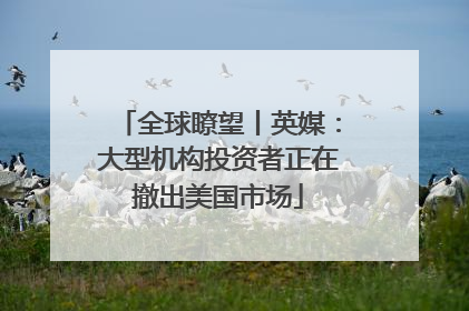 全球瞭望丨英媒：大型机构投资者正在撤出美国市场